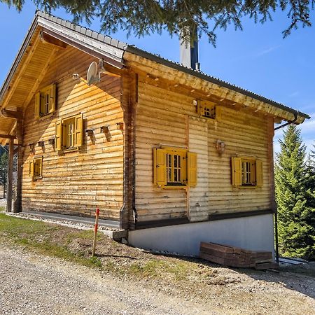 Вилла 1A Chalet Enzianhuette - Ski Fahren Und Indoor Sauna Elsenbrunn Экстерьер фото