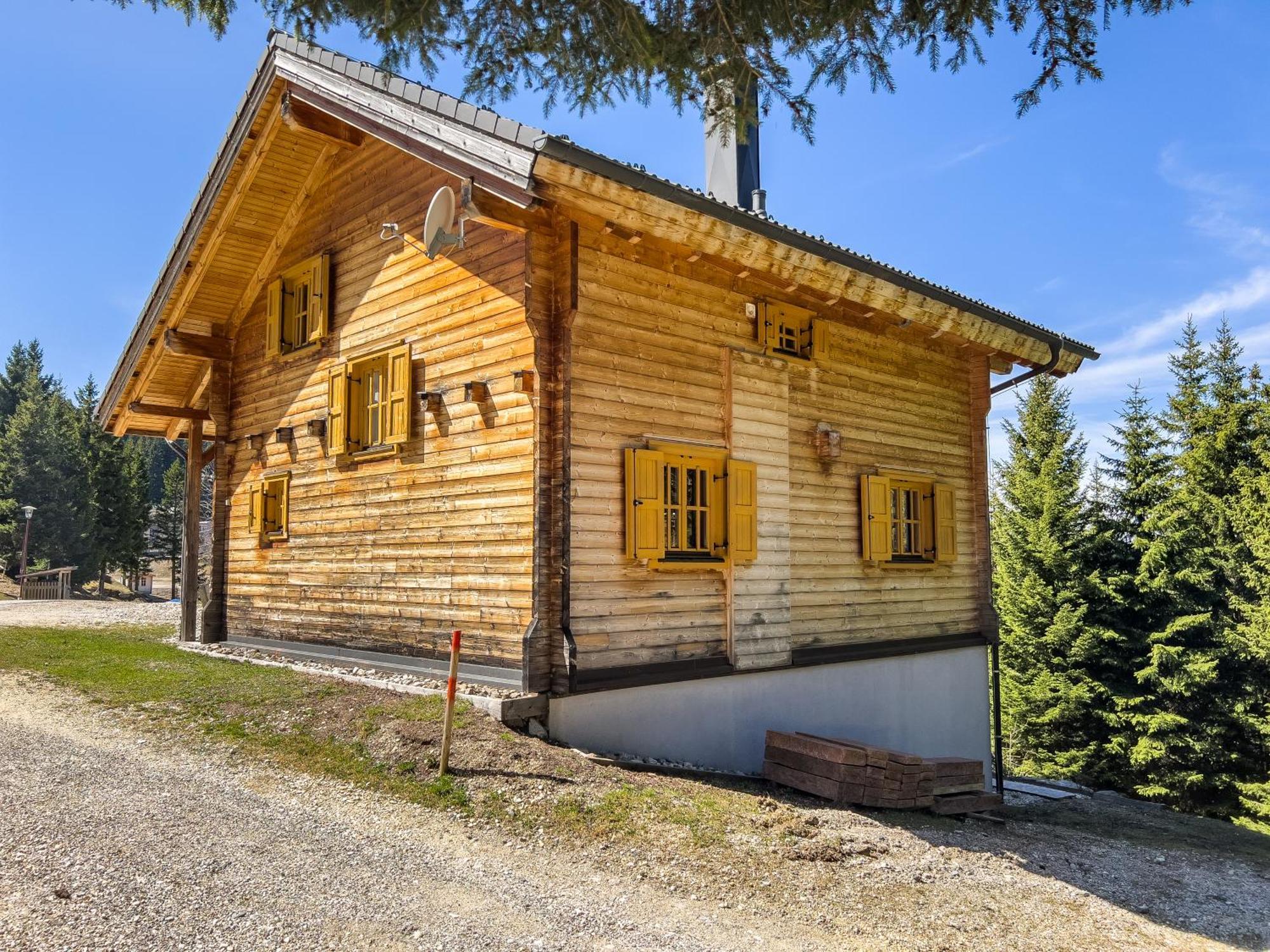 Вилла 1A Chalet Enzianhuette - Ski Fahren Und Indoor Sauna Elsenbrunn Экстерьер фото