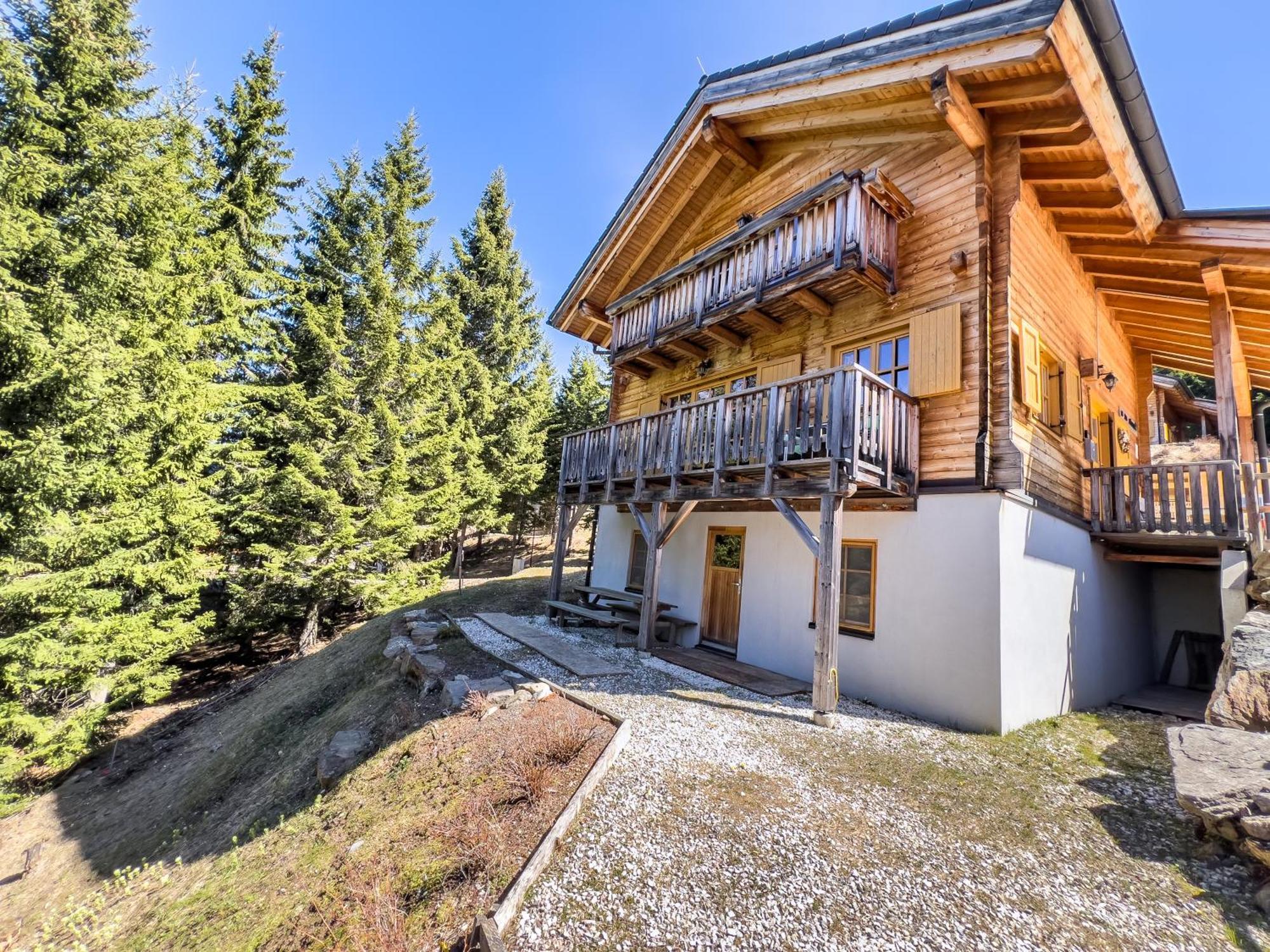 Вилла 1A Chalet Enzianhuette - Ski Fahren Und Indoor Sauna Elsenbrunn Экстерьер фото