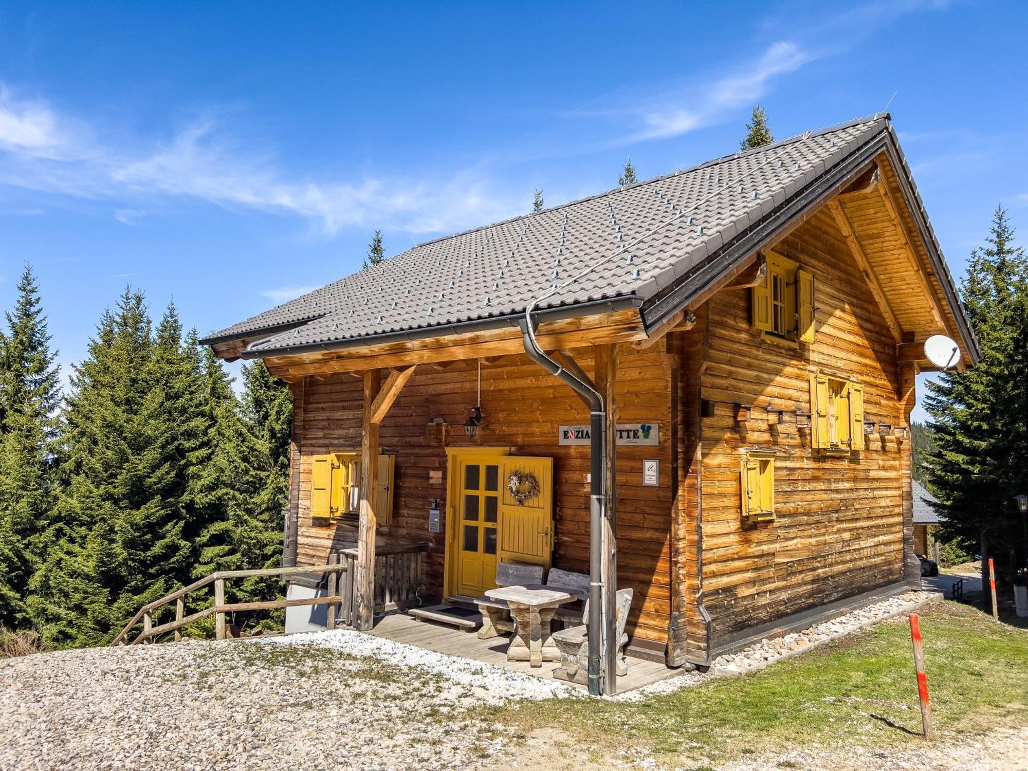 Вилла 1A Chalet Enzianhuette - Ski Fahren Und Indoor Sauna Elsenbrunn Экстерьер фото