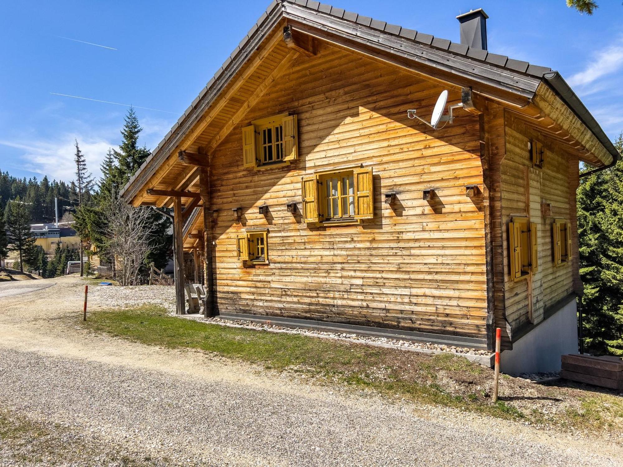 Вилла 1A Chalet Enzianhuette - Ski Fahren Und Indoor Sauna Elsenbrunn Экстерьер фото