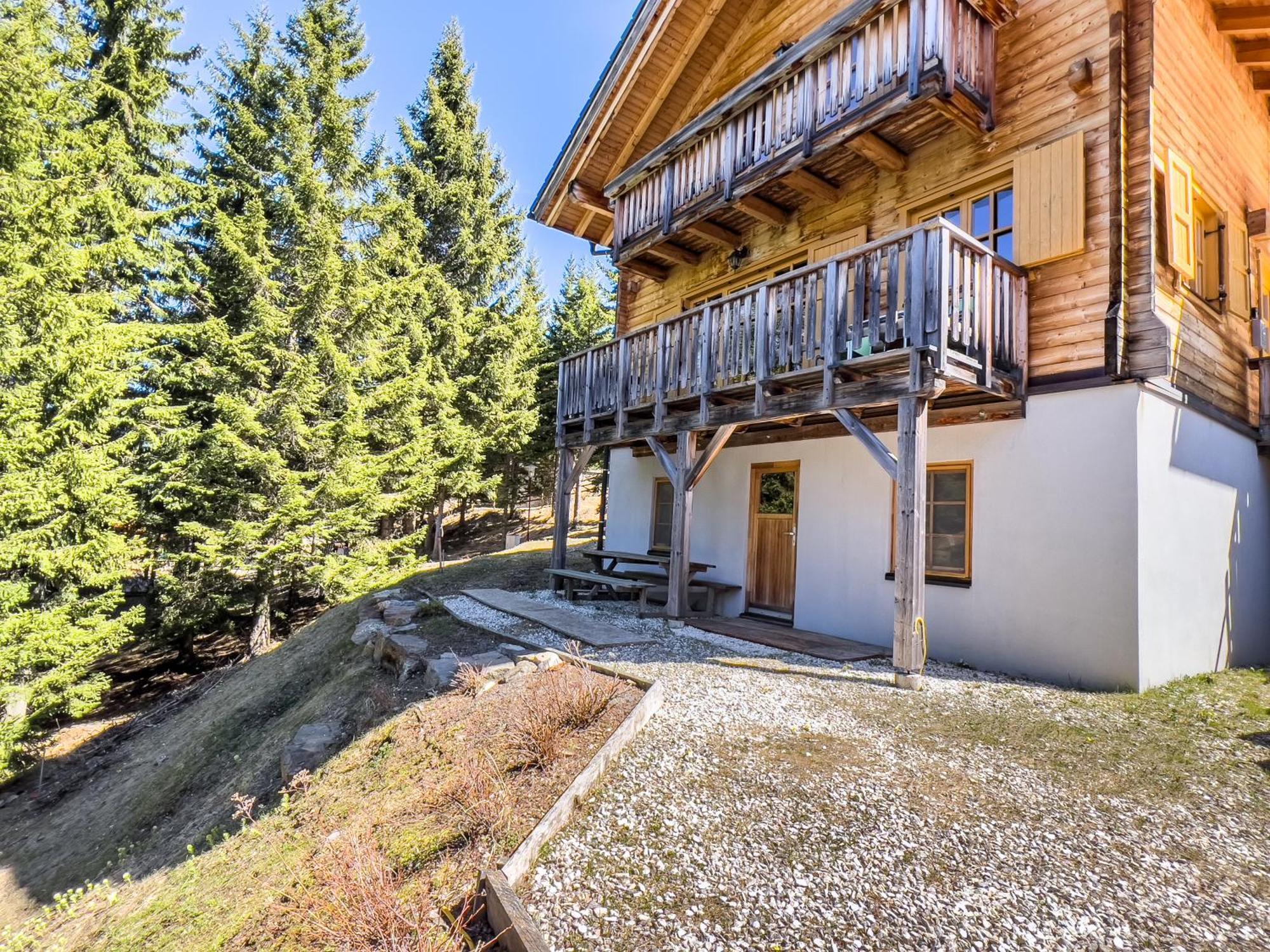 Вилла 1A Chalet Enzianhuette - Ski Fahren Und Indoor Sauna Elsenbrunn Экстерьер фото