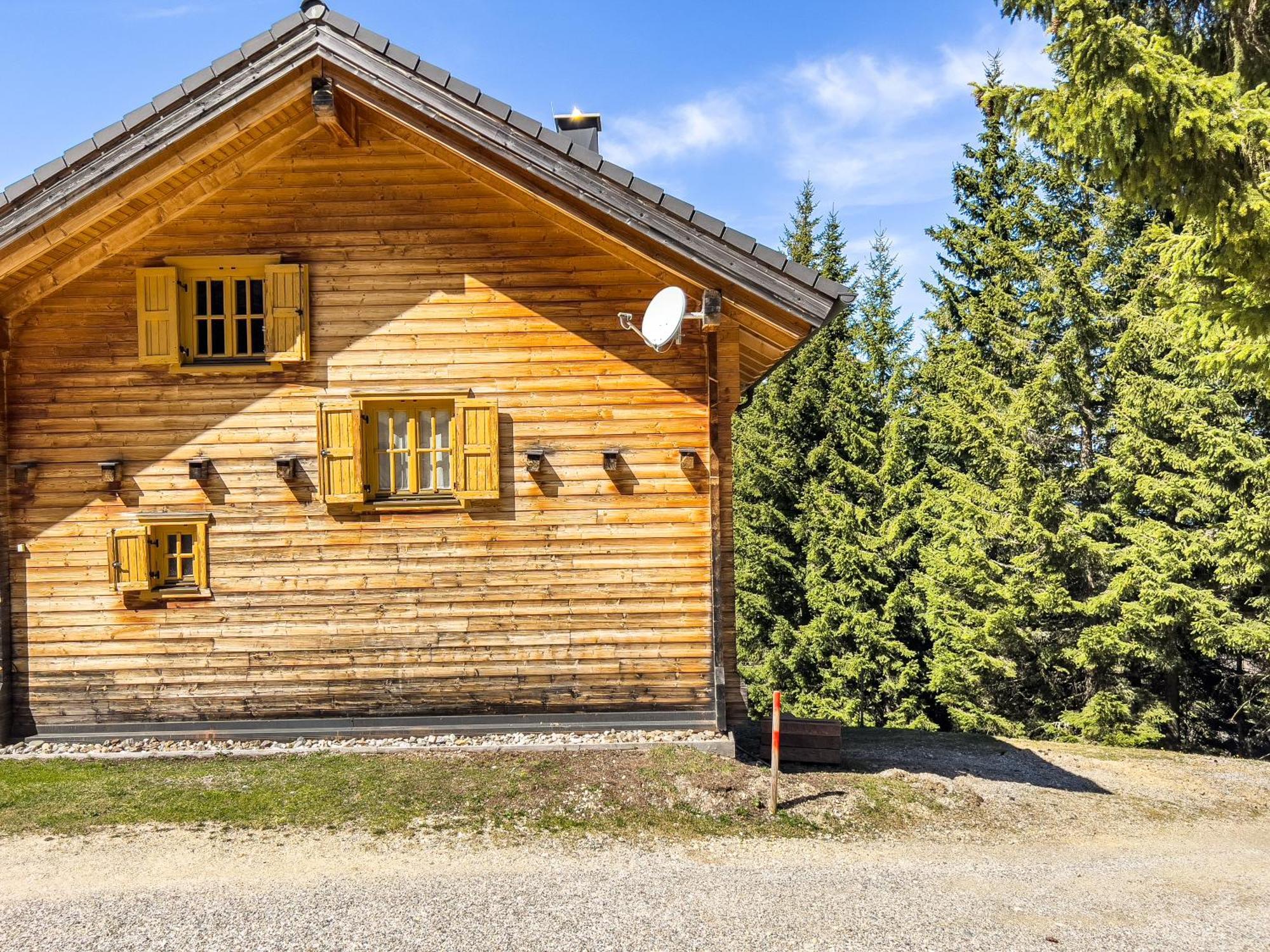 Вилла 1A Chalet Enzianhuette - Ski Fahren Und Indoor Sauna Elsenbrunn Экстерьер фото