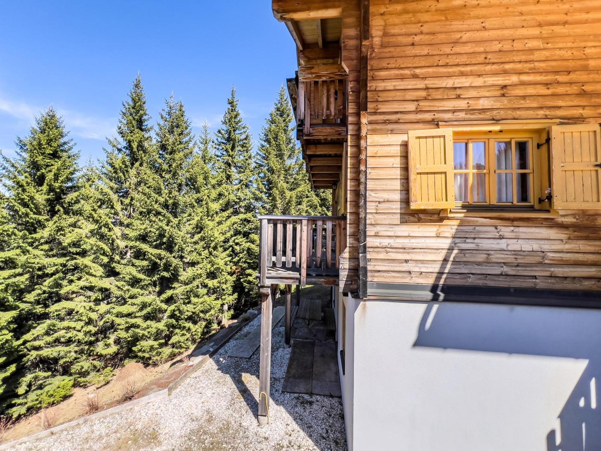 Вилла 1A Chalet Enzianhuette - Ski Fahren Und Indoor Sauna Elsenbrunn Экстерьер фото