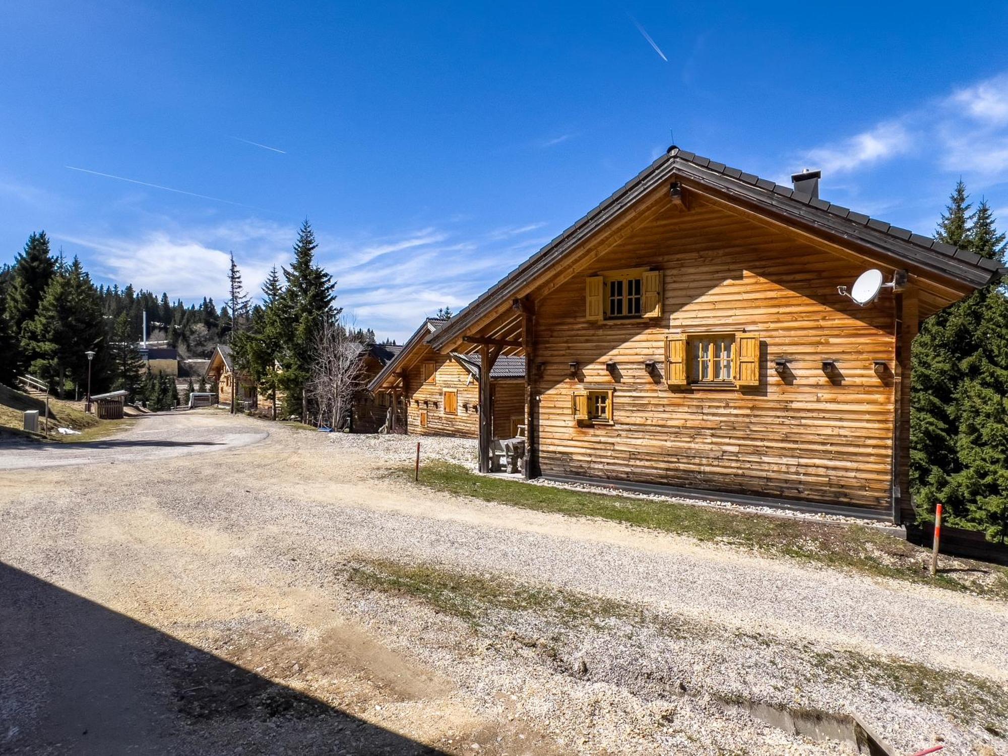 Вилла 1A Chalet Enzianhuette - Ski Fahren Und Indoor Sauna Elsenbrunn Экстерьер фото