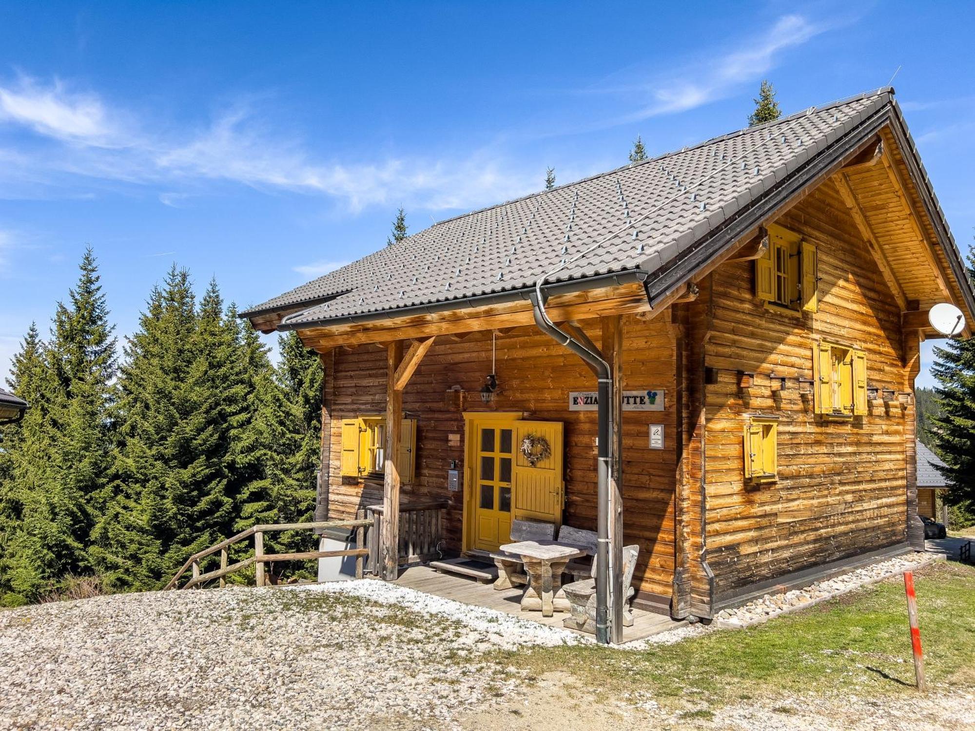 Вилла 1A Chalet Enzianhuette - Ski Fahren Und Indoor Sauna Elsenbrunn Экстерьер фото